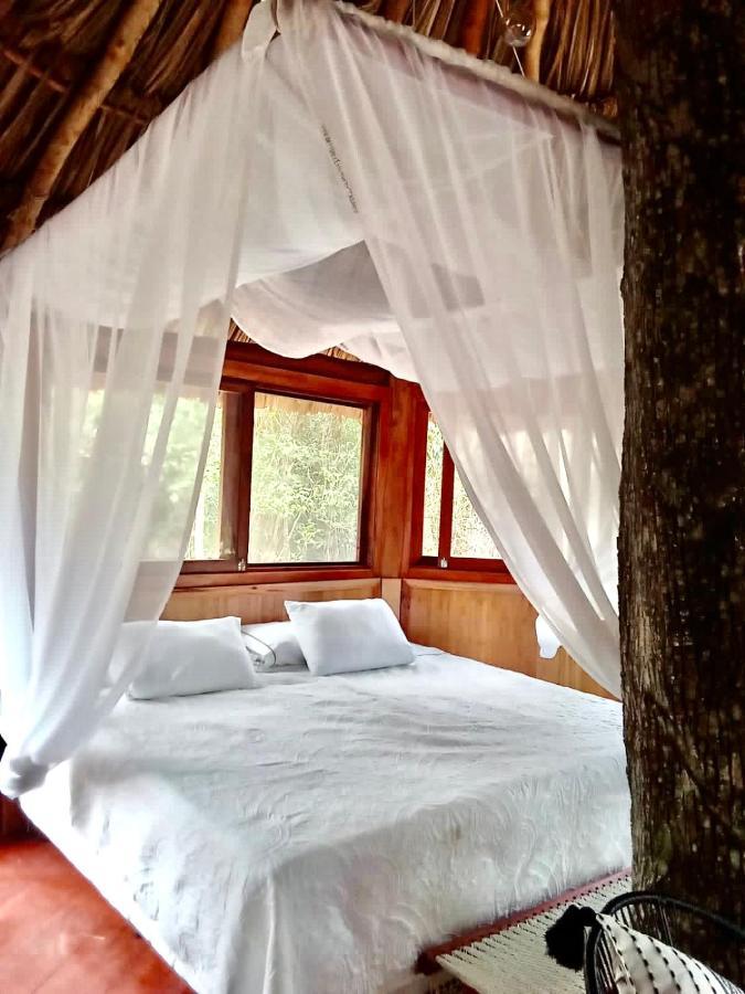 Hotel Nuscaa Boutique Tree House & Spa Puerto Morelos Zewnętrze zdjęcie
