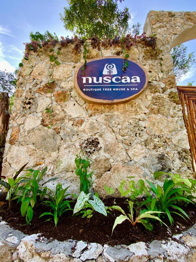Hotel Nuscaa Boutique Tree House & Spa Puerto Morelos Zewnętrze zdjęcie