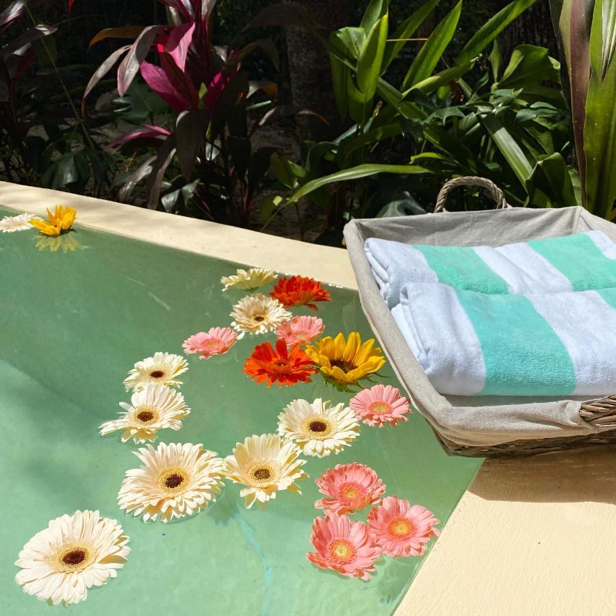 Hotel Nuscaa Boutique Tree House & Spa Puerto Morelos Zewnętrze zdjęcie