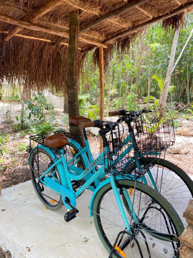 Hotel Nuscaa Boutique Tree House & Spa Puerto Morelos Zewnętrze zdjęcie